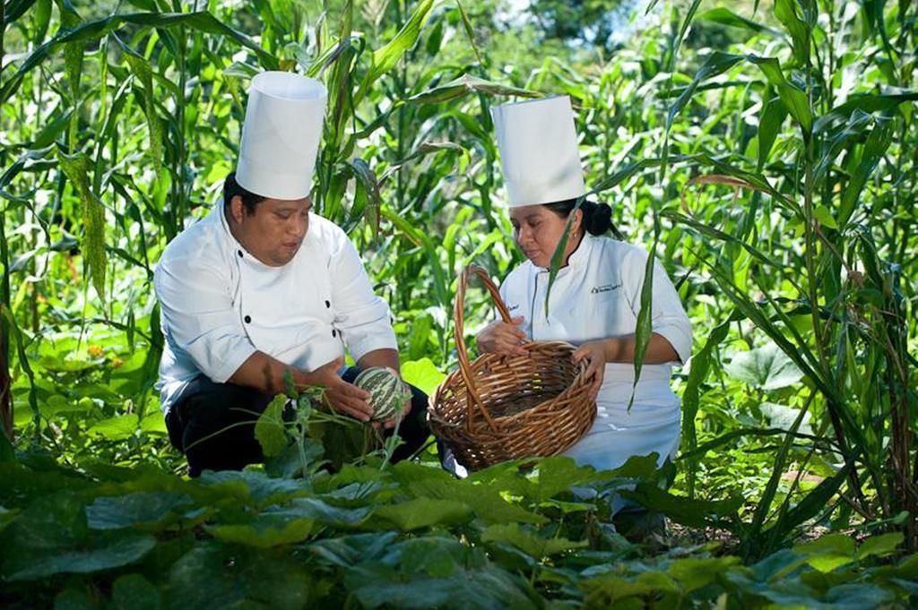 Hacienda Chichen Resort And Yaxkin Spa Extérieur photo